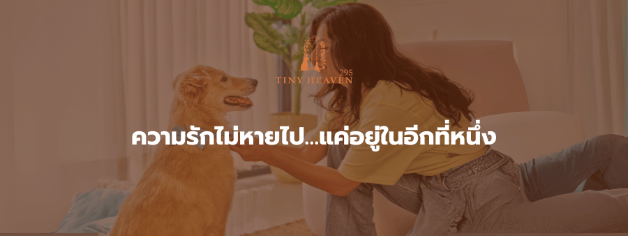 ความรักไม่หายไปแค่อยู่ในอีกที่หนึ่ง