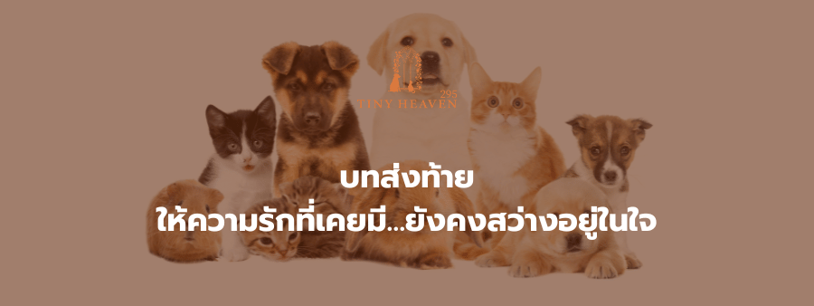 บทส่งท้าย