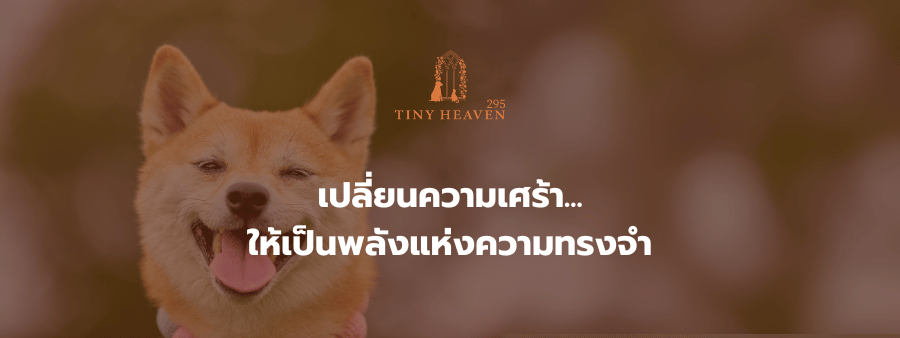 เปลี่ยนความเศร้าให้เป็นพลังแห่งความทรงจำ