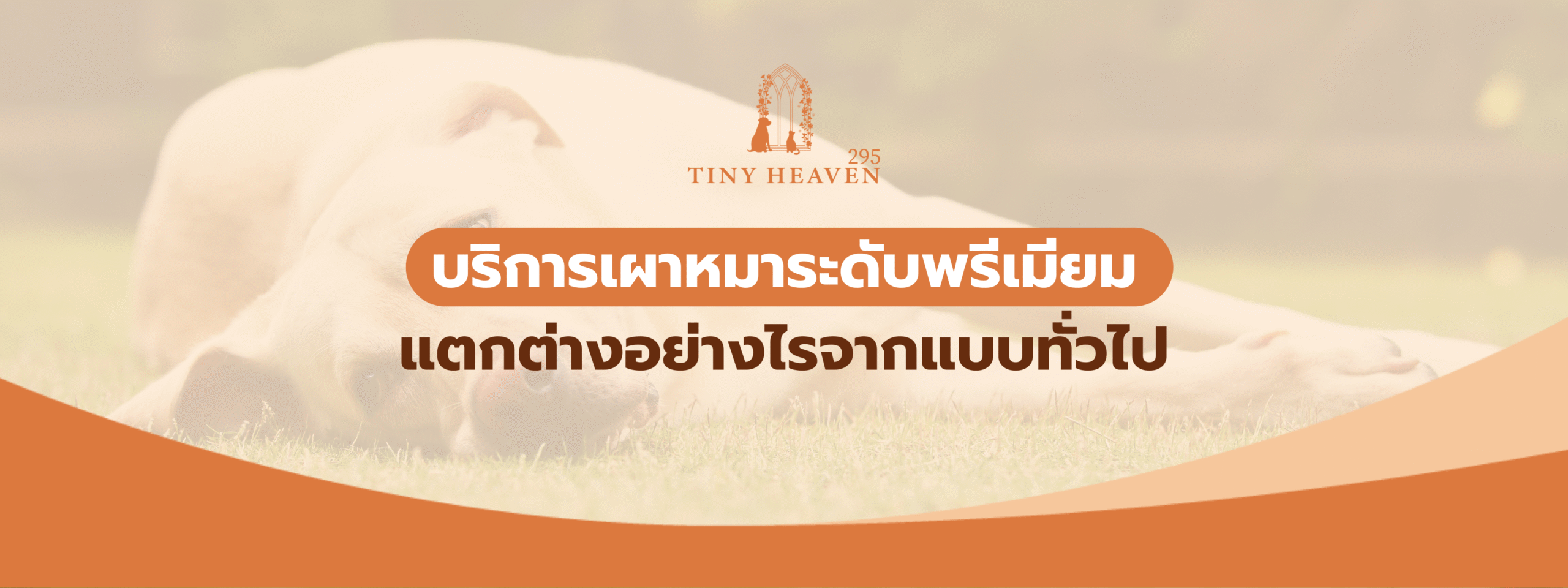 บริการเผาหมาระดับพรีเมียม แตกต่างอย่างไรจากแบบทั่วไป