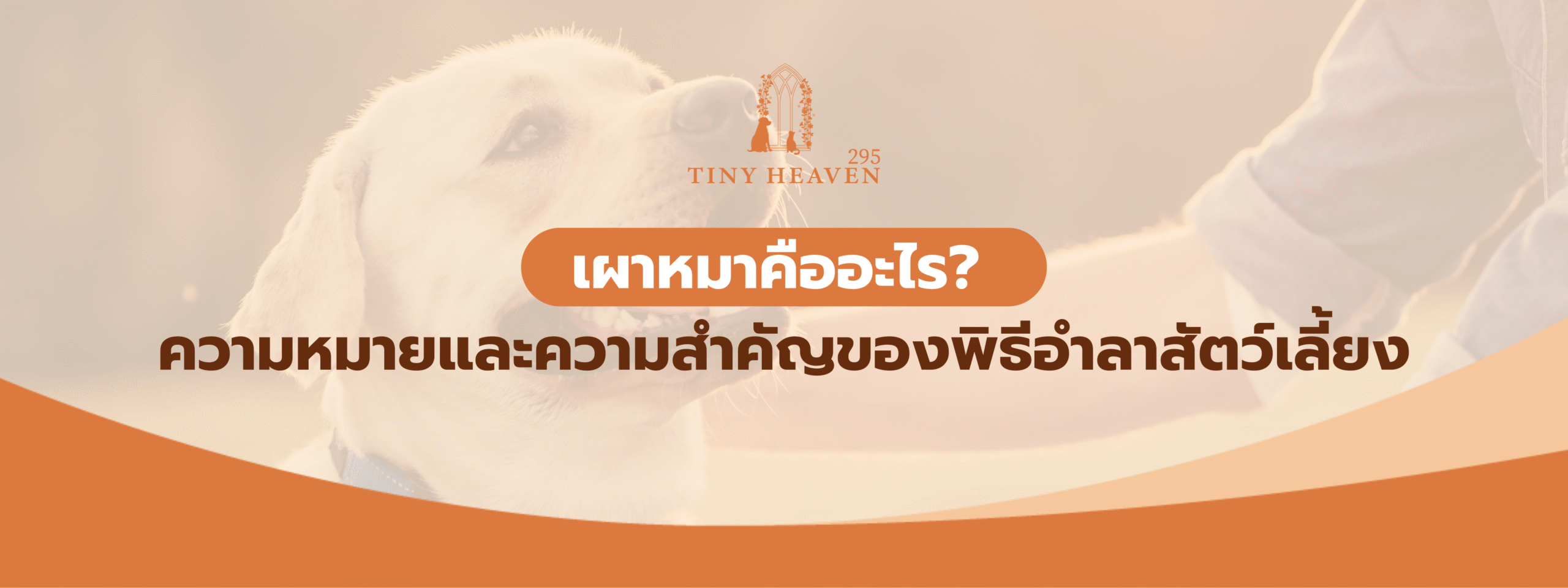 เเผาหมาคืออะไร ความหมายและความสำคัญของพิธีอำลาสัตว์เลี้ยง