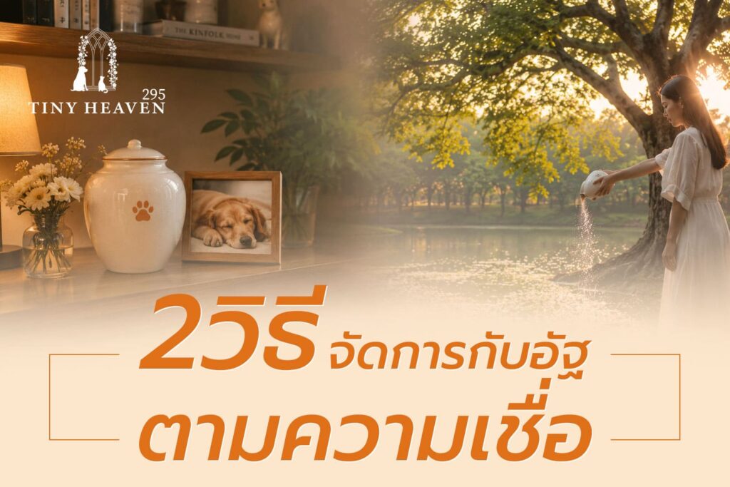 วิธีจัดการกับอัฐิ
