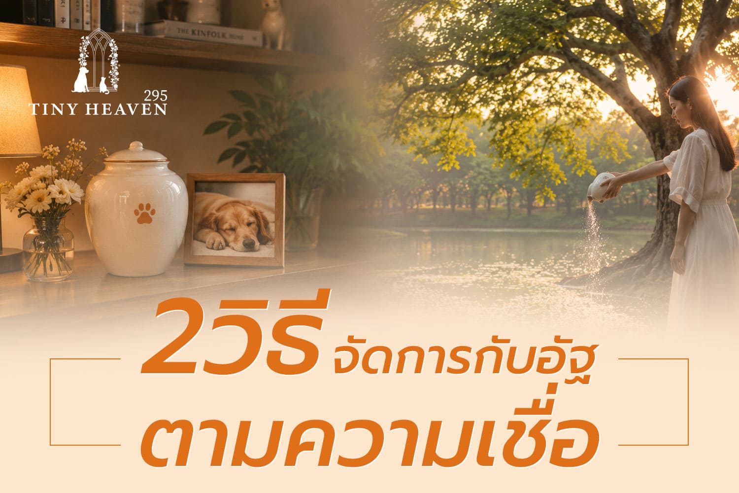 วิธีจัดการกับอัฐิ